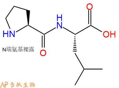 专肽生物产品H2N-Pro-Leu-COOH52899-07-7