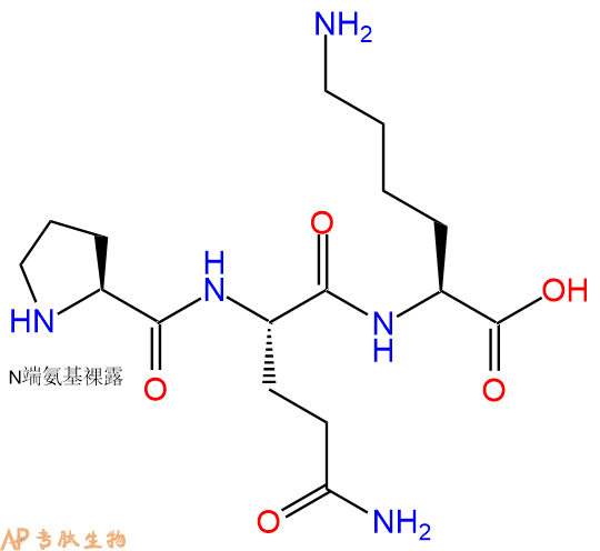 专肽生物产品三肽Pro-Gln-Lys