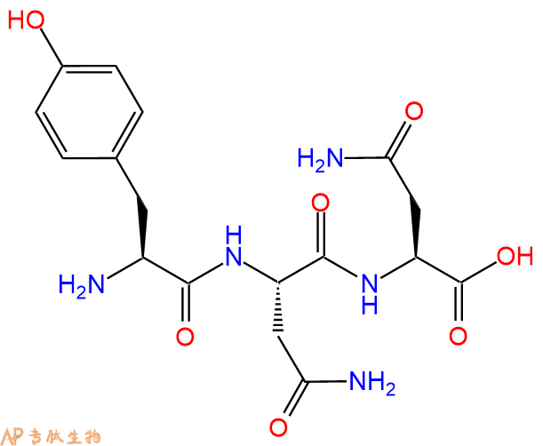 专肽生物产品三肽Tyr-Asn-Asn