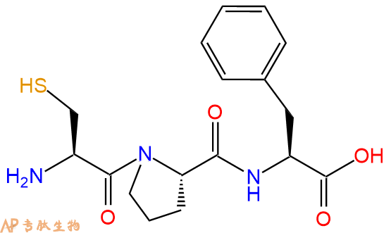 专肽生物产品三肽Cys-Pro-Phe
