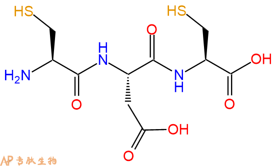 专肽生物产品三肽Cys-Asp-Cys