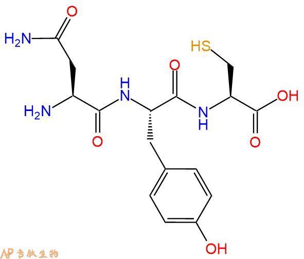 专肽生物产品三肽Asn-Tyr-Cys
