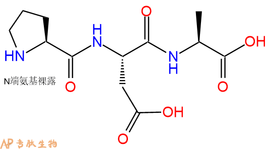 专肽生物产品三肽Pro-Asp-Ala