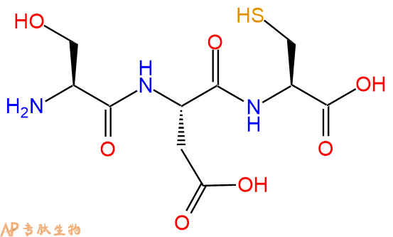 专肽生物产品三肽Ser-Asp-Cys