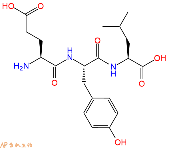 专肽生物产品三肽Glu-Tyr-Leu