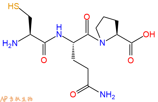 专肽生物产品三肽Cys-Gln-Pro