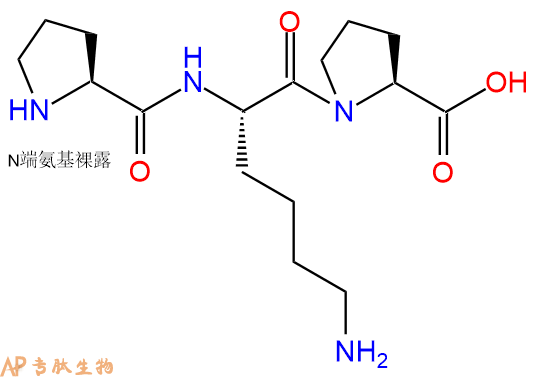 专肽生物产品三肽Pro-Lys-Pro
