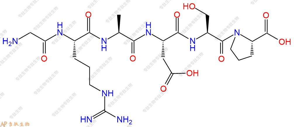 专肽生物产品六肽Gly-Arg-Ala-Asp-Ser-Pro99896-86-3