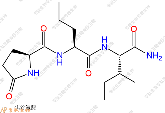 专肽生物产品二肽pGlu-Nva-Ile-NH278664-53-6