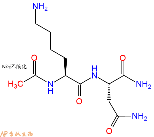 专肽生物产品二肽Ac-Lys-Asn-NH2