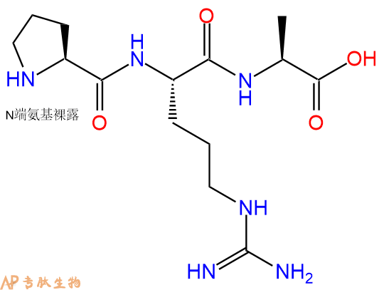 专肽生物产品三肽Pro-Arg-Ala