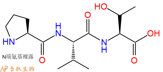 专肽生物产品三肽Pro-Val-Thr