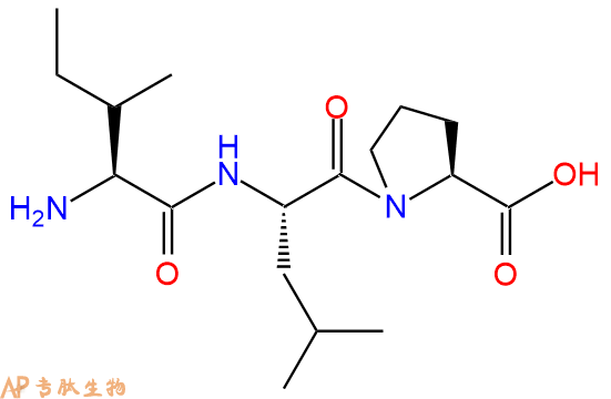 专肽生物产品三肽Ile-Leu-Pro