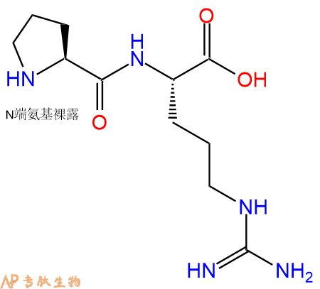 专肽生物产品二肽Pro-Arg、prolylarginine2418-74-8