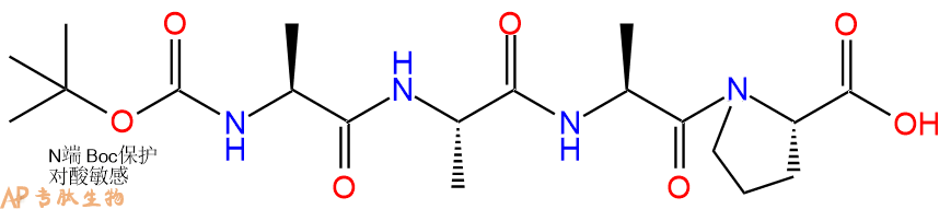 专肽生物产品四肽Boc-Ala-Ala-Ala-Pro1228392-31-1
