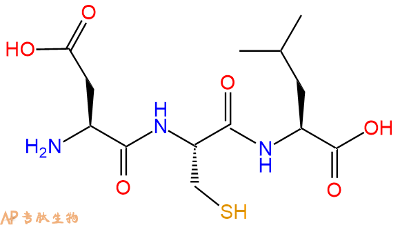 专肽生物产品三肽Asp-Cys-Leu