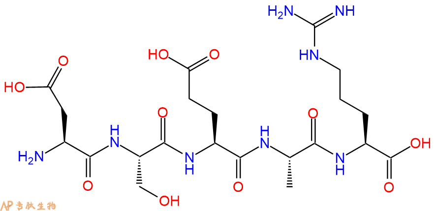 专肽生物产品五肽Asp-Ser-Glu-Ala-Arg121274-64-4