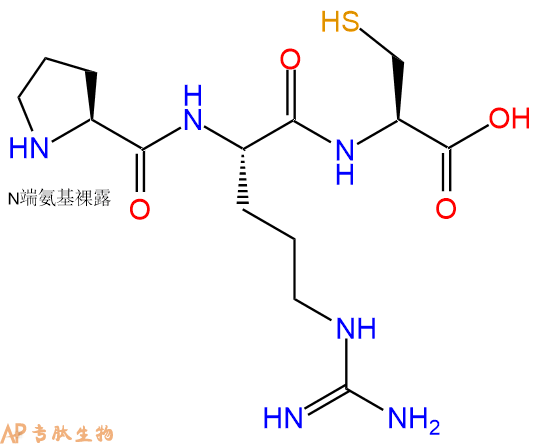 专肽生物产品三肽Pro-Arg-Cys