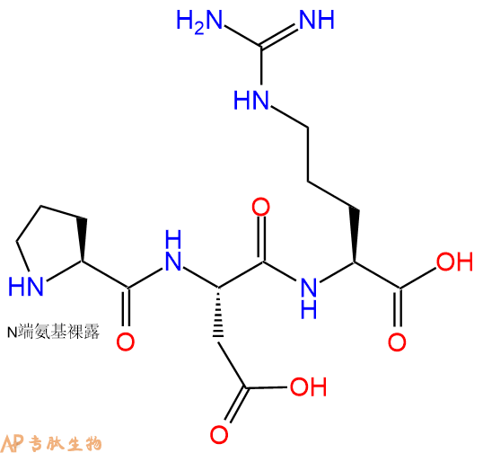 专肽生物产品三肽Pro-Asp-Arg