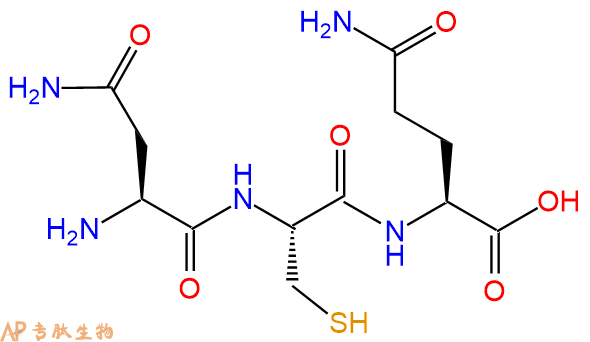专肽生物产品三肽Asn-Cys-Gln