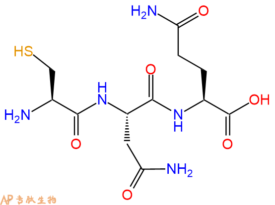 专肽生物产品三肽Cys-Asn-Gln