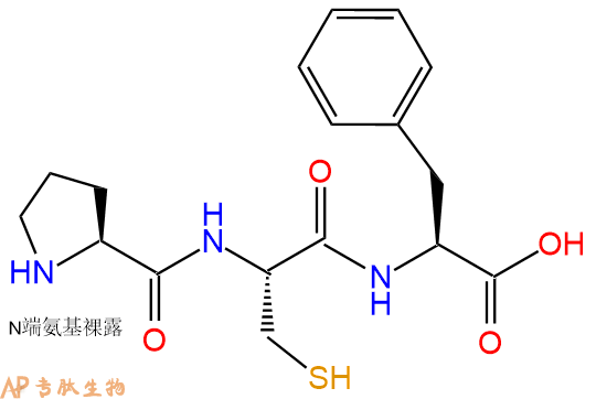 专肽生物产品三肽Pro-Cys-Phe