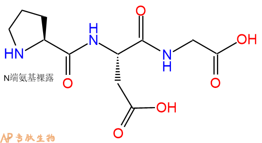 专肽生物产品三肽Pro-Asp-Gly