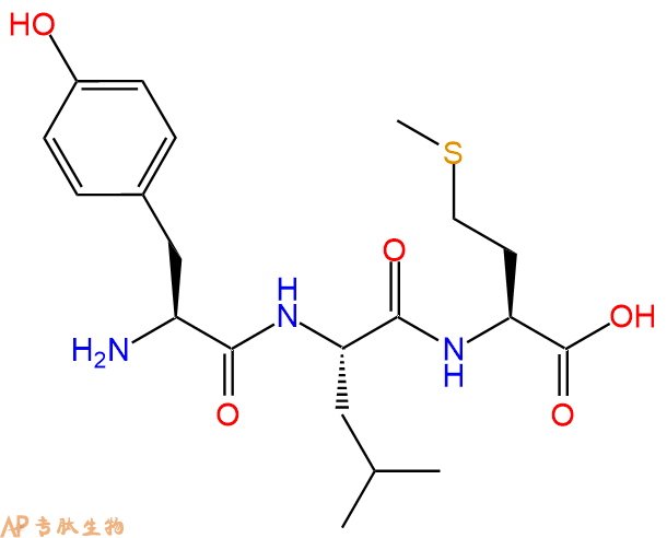 专肽生物产品三肽Tyr-Leu-Met