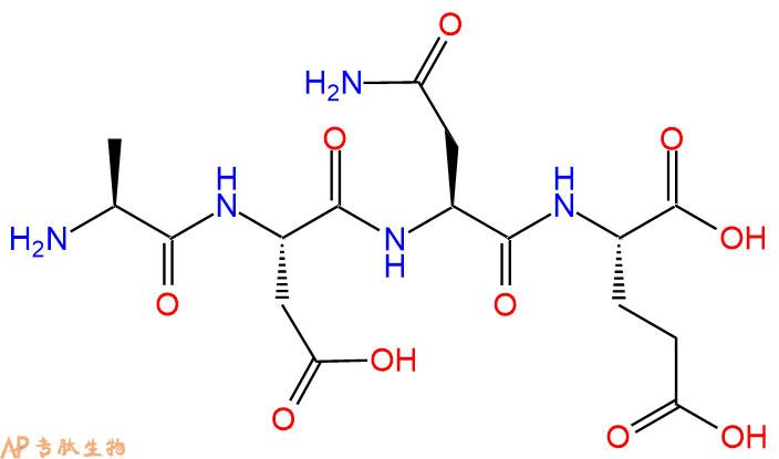 专肽生物产品四肽Ala-Asp-Asn-Glu863037-37-0