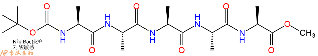 专肽生物产品五肽Boc-(Ala)5-甲酯化57495-08-6