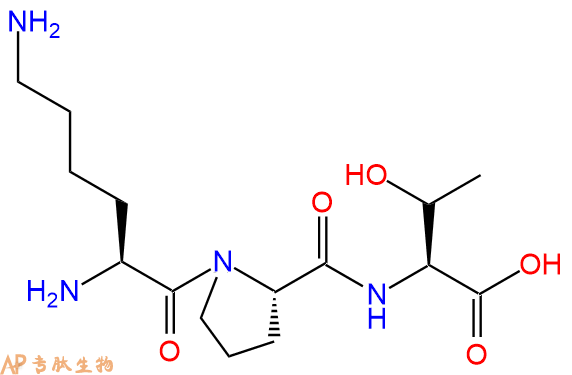 专肽生物产品三肽Lys-Pro-Thr