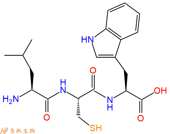 专肽生物产品三肽Leu-Cys-Trp