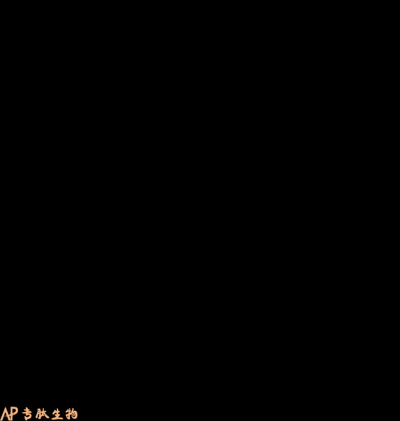 专肽生物产品三肽Phe-Arg-Arg150398-22-4