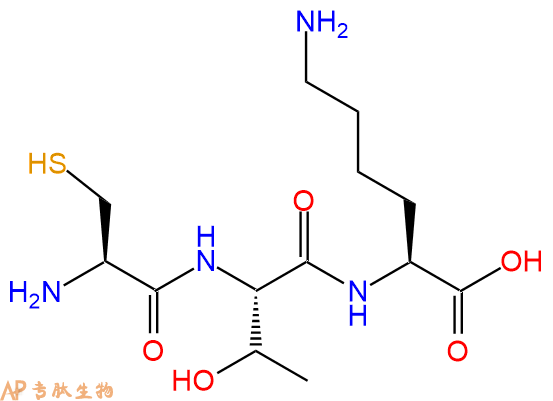 专肽生物产品三肽Cys-Thr-Lys