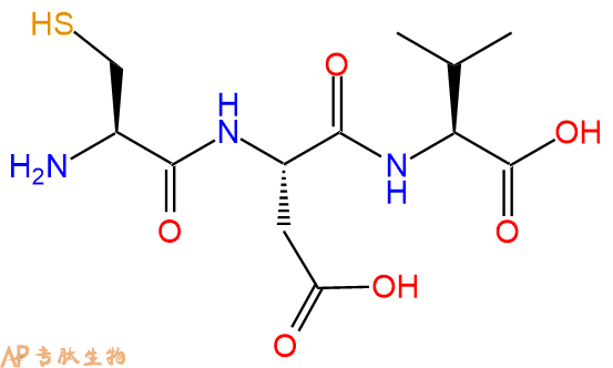 专肽生物产品三肽Cys-Asp-Val