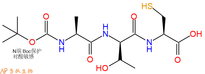 专肽生物产品三肽Boc-Ala-DThr-Cys31147-25-8