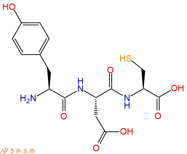 专肽生物产品三肽Tyr-Asp-Cys