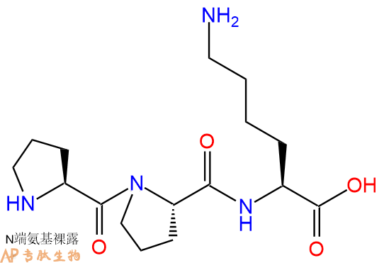 专肽生物产品三肽Pro-Pro-Lys