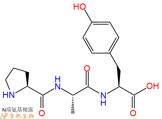 专肽生物产品三肽Pro-Ala-Tyr