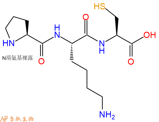 专肽生物产品三肽Pro-Lys-Cys