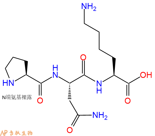 专肽生物产品三肽Pro-Asn-Lys