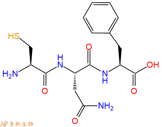 专肽生物产品三肽Cys-Asn-Phe