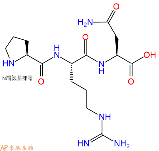 专肽生物产品三肽Pro-Arg-Asn