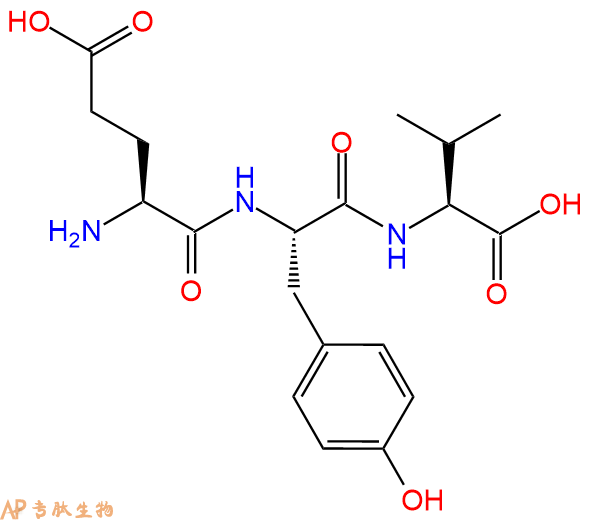 专肽生物产品三肽Glu-Tyr-Val