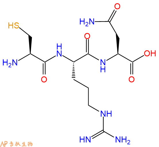 专肽生物产品三肽Cys-Arg-Asn