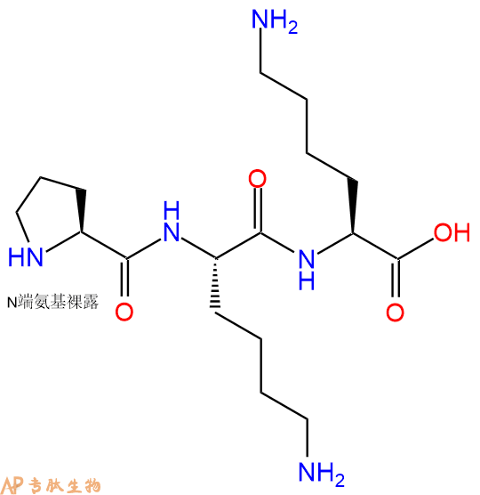 专肽生物产品三肽Pro-Lys-Lys