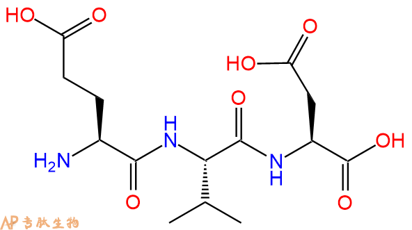 专肽生物产品三肽Glu-Val-Asp
