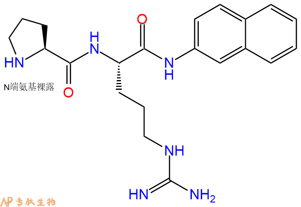 专肽生物产品二肽Pro-Arg-βNA138914-35-9