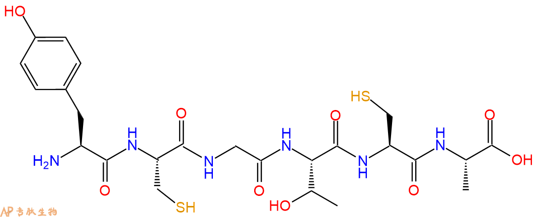 专肽生物产品六肽Tyr-Cys-Gly-Thr-Cys-Ala
