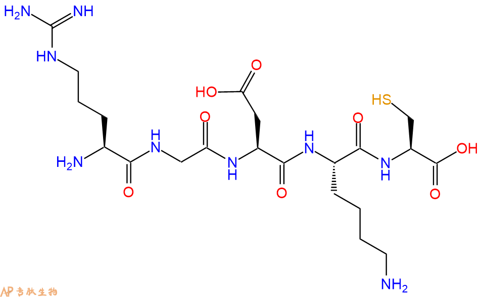 专肽生物产品五肽Arg-Gly-Asp-Lys-Cys